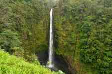 Hilo: hawaii, akaka falls, Akaka falls state park
