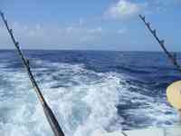 Hilo: hawaii, fishing, Deep Sea Fishing