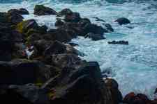 Hilo: Ocean, sea, rocks