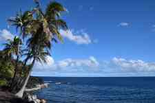 Hilo: hawaii, island, seashore