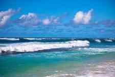 Hilo: hawaii, beach, water