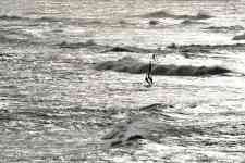 Hilo: Ocean, surfers, windsurfing