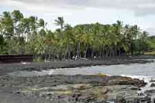 Hilo: beach, black, Sand