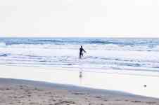 Hilo: beach, waves, surfer