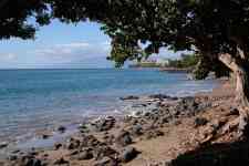 Hilo: beach, sea, sea view