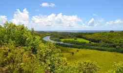 Hilo: hawaii, blue sky, Landscape