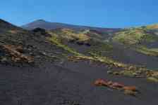 Hilo: volcano, lava, ASH