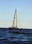 Hilo: Ocean, sea, sailing