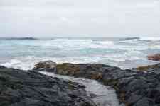 Hilo: lava, beach, rocks