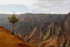 Hilo: Canyon, Landscape, desert
