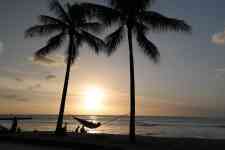 Hilo: Sunset, palm trees, hammock